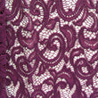 Paisley