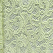 Paisley