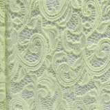 Paisley