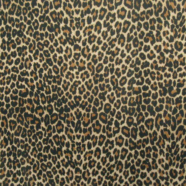 Leopard Skin