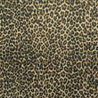 Leopard Skin