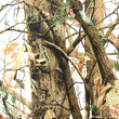 Camouflage