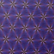 Printed Spandex