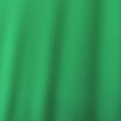 45-Milliskin Matte - Kelly Green