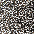 Leopard Skin