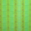 Snake Skin