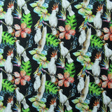 Parrots