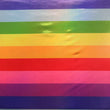 Pride Rainbow Flag Graphic T-Shirt