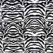Tiger Skin