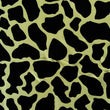 Cow Skin