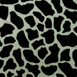 Cow Skin