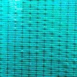 Hologram