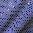 Hologram