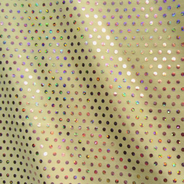 Hologram