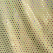 Hologram