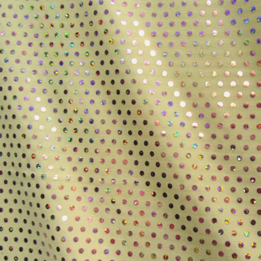 Hologram