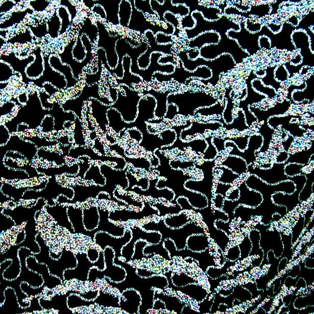 Premium Grade Sturgeon Caviar
