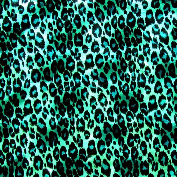 Leopard Skin