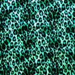 Leopard Skin