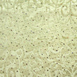 Glitter Velvet