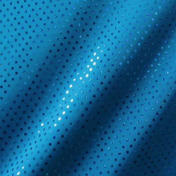 Hologram