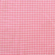 Gingham Print