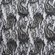 Paisley