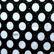 Polka Dots