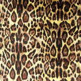 Leopard Skin