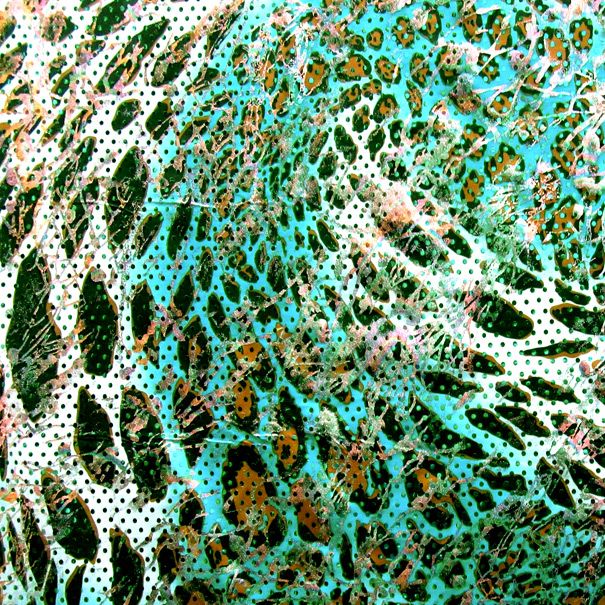Leopard Skin