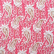 Paisley
