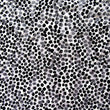 Lace
