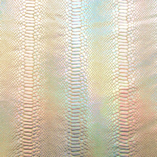 Snake Skin