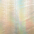 Snake Skin