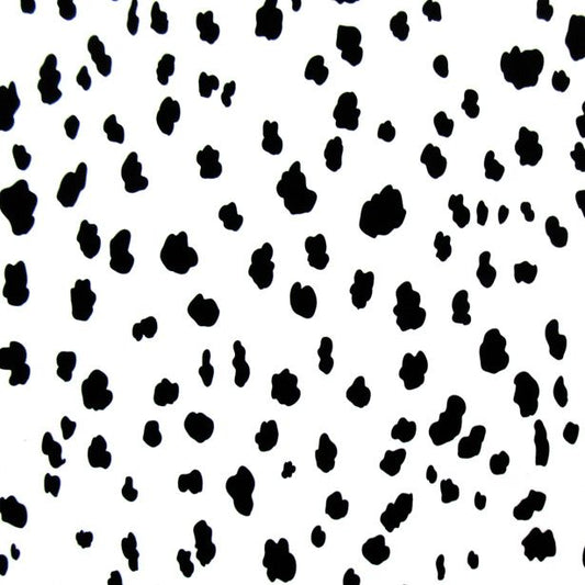 Dalmatian