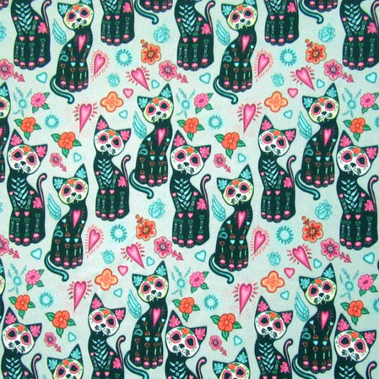 Cats