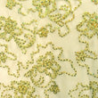 Sequins on Mesh