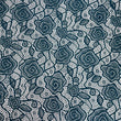 Embroidered Lace