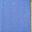 Gingham Printed Glitter Dot