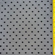 Polka Dot Mesh Mini