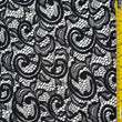 Paisley