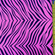 Tiger Print