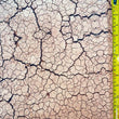 Cracked