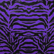 Tiger Skin