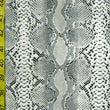 Snake Skin