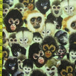 Monkeys