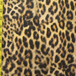 Leopard Skin