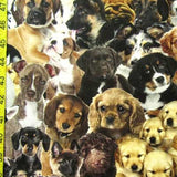 Puppies