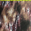 DPK-0895-1- Animal Skin