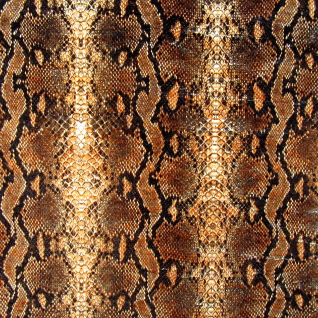 Snake Skin